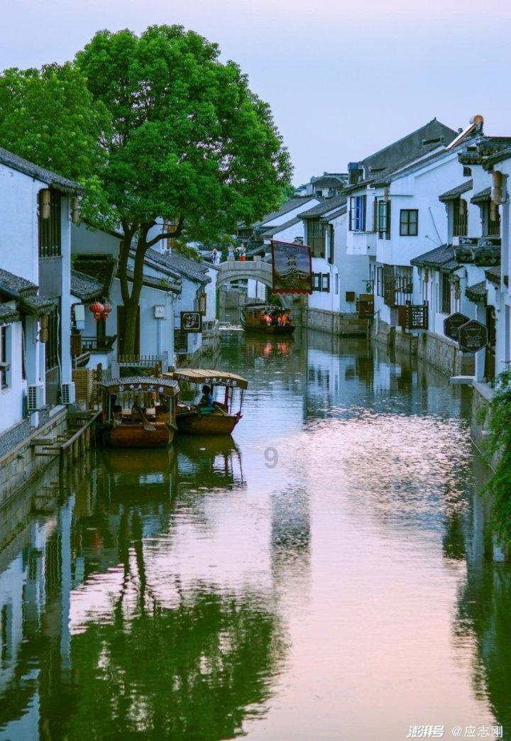 救援蓝鸦